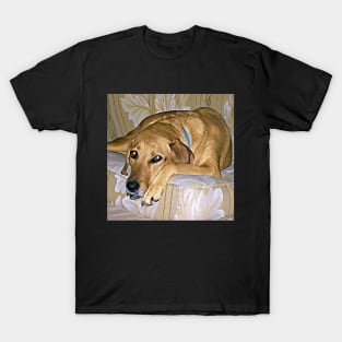 Gypsy On The Sofa T-Shirt